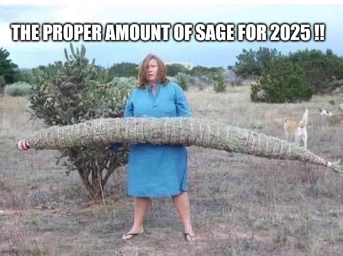 Sage 2025 | THE PROPER AMOUNT OF SAGE FOR 2025 !! | image tagged in 2025 | made w/ Imgflip meme maker