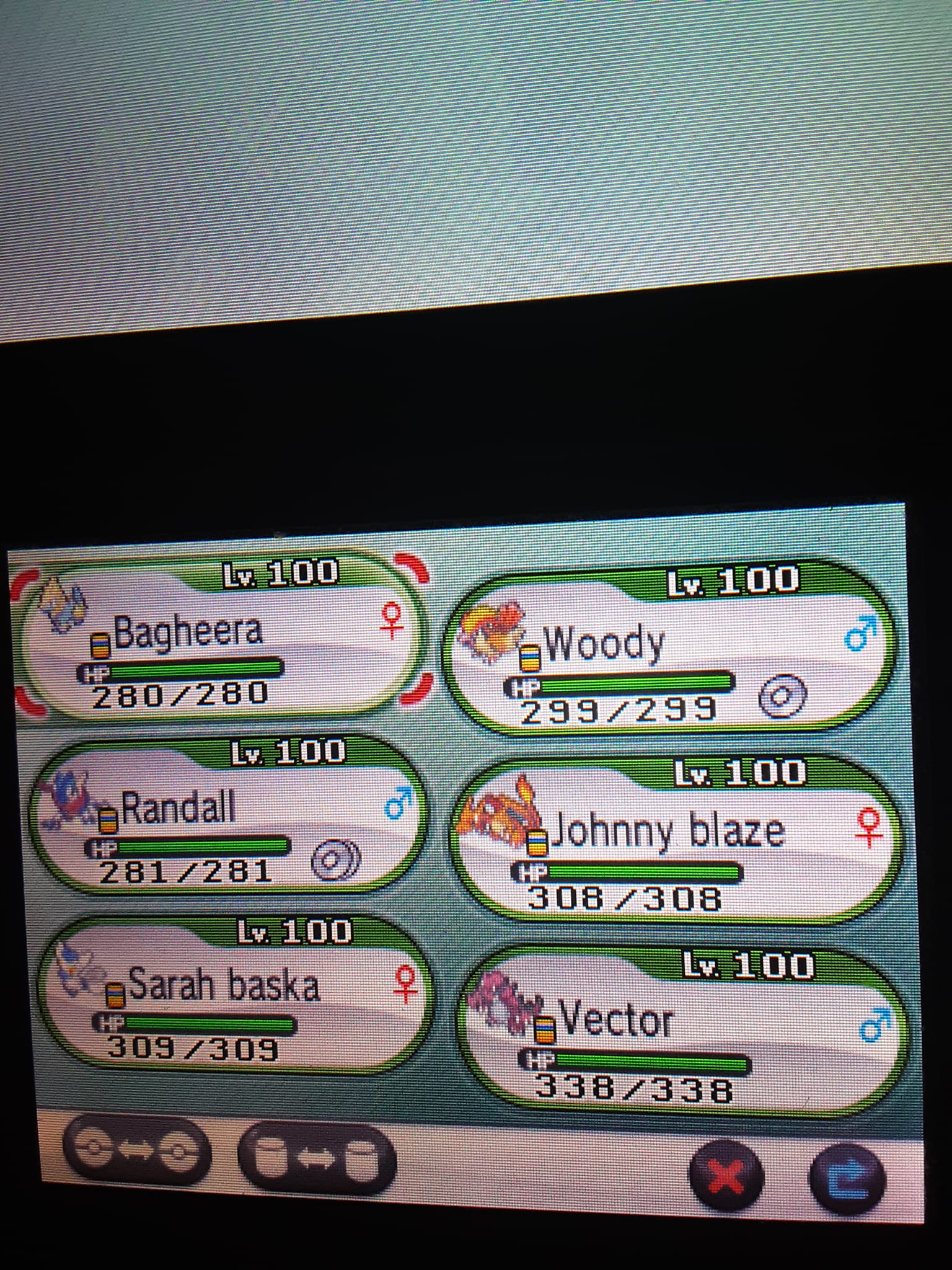 pokemon y team Blank Meme Template