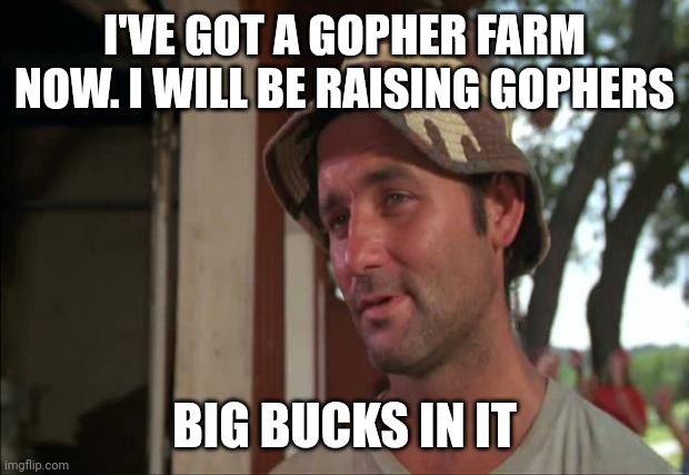 Gopher farm | I'VE GOT A GOPHER FARM NOW. I WILL BE RAISING GOPHERS; BIG BUCKS IN IT | image tagged in memes,so i got that goin for me which is nice 2,funny memes | made w/ Imgflip meme maker