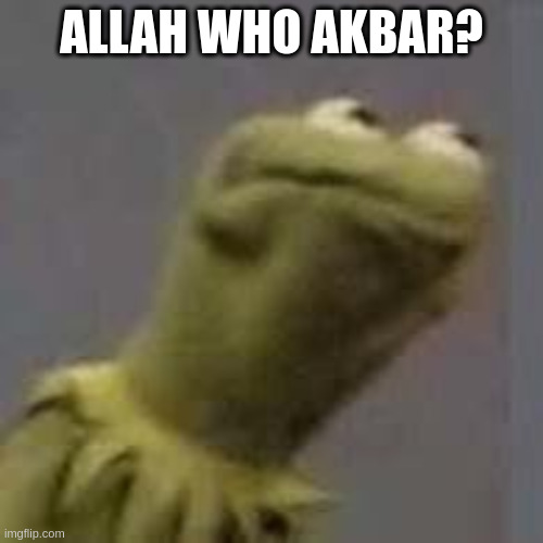 Allah WHO Akbar? | ALLAH WHO AKBAR? | image tagged in kermit the frog,islam | made w/ Imgflip meme maker