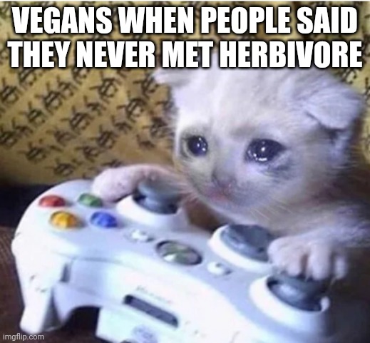 Karen's are crazy | VEGANS WHEN PEOPLE SAID THEY NEVER MET HERBIVORE | image tagged in sad gaming cat,karens,herbivore | made w/ Imgflip meme maker