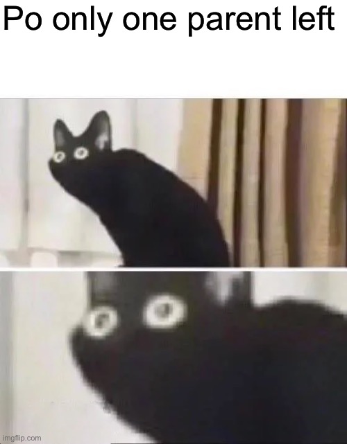 Oh No Black Cat | Po only one parent left | image tagged in oh no black cat | made w/ Imgflip meme maker