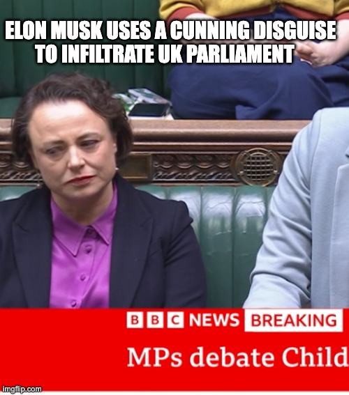 Sneaky Muskrat | ELON MUSK USES A CUNNING DISGUISE 
TO INFILTRATE UK PARLIAMENT | image tagged in elon musk,uk politics | made w/ Imgflip meme maker