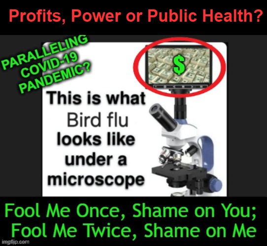 Not again... | Profits, Power or Public Health? | image tagged in deep thoughts,control,follow the money,power,covid-19,bird flu | made w/ Imgflip meme maker