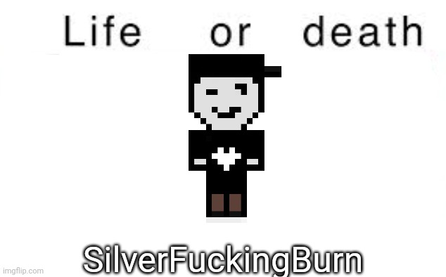Life or death | SilverFuckingBurn | image tagged in life or death,msmg,memes | made w/ Imgflip meme maker