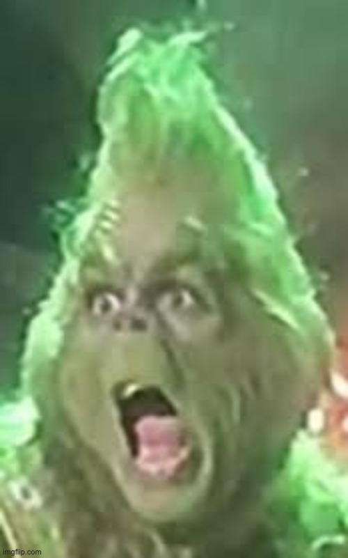 shocked grinch | image tagged in shocked grinch | made w/ Imgflip meme maker