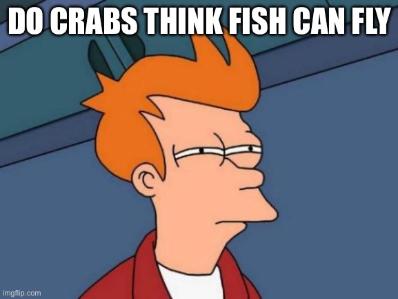 Futurama Fry | DO CRABS THINK FISH CAN FLY | image tagged in memes,futurama fry | made w/ Imgflip meme maker