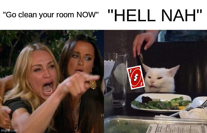 When mom tells you to clean ur room | "Go clean your room NOW"; "HELL NAH" | image tagged in memes,woman yelling at cat | made w/ Imgflip meme maker