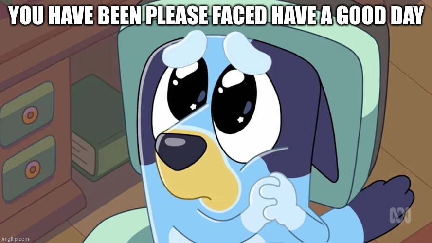 YOU HAVE BEEN PLEASE FACED HAVE A GOOD DAY | image tagged in bluey,memes,adorable | made w/ Imgflip meme maker