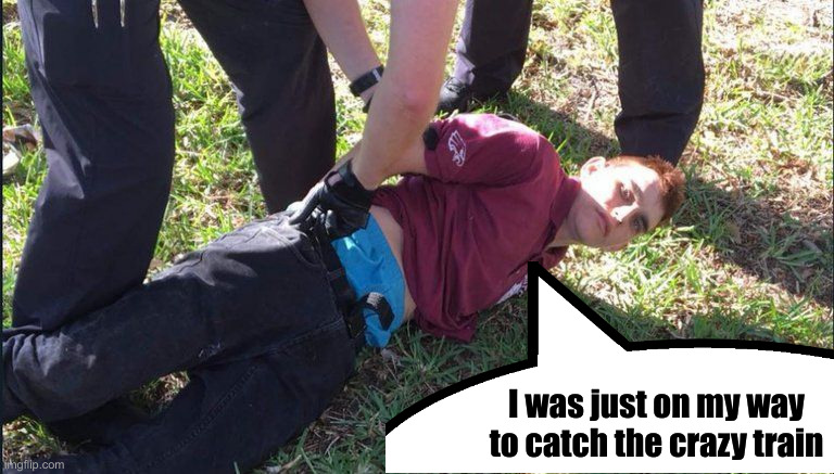 Florida school shooter nikolas cruz  | I was just on my way to catch the crazy train | image tagged in florida school shooter nikolas cruz | made w/ Imgflip meme maker