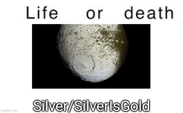 Life or death | Silver/SilverIsGold | image tagged in life or death,msmg,memes | made w/ Imgflip meme maker