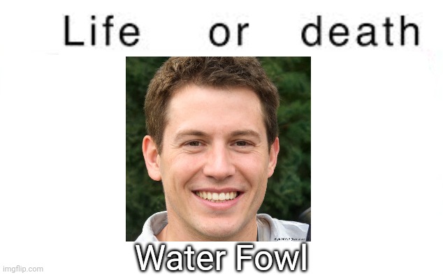 Life or death | Water Fowl | image tagged in life or death,msmg,memes | made w/ Imgflip meme maker