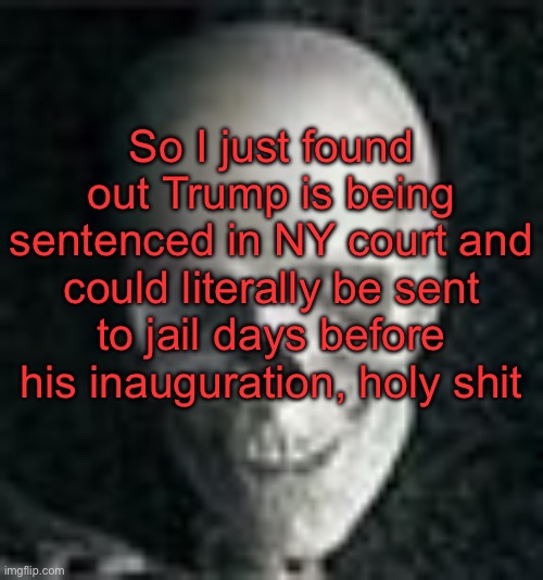 . | So I just found out Trump is being sentenced in NY court and could literally be sent to jail days before his inauguration, holy shit | image tagged in skull | made w/ Imgflip meme maker