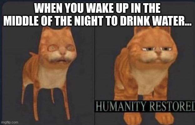 Drinking water at night... | WHEN YOU WAKE UP IN THE MIDDLE OF THE NIGHT TO DRINK WATER... | image tagged in humanity restored,garfield | made w/ Imgflip meme maker