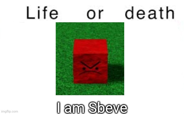 Life or death | I am Sbeve | image tagged in life or death,msmg,memes | made w/ Imgflip meme maker