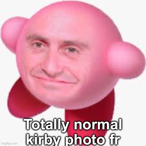 Ye | Totally normal kirby photo fr | image tagged in ye | made w/ Imgflip meme maker