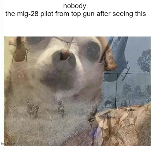 PTSD Chihuahua | nobody:
the mig-28 pilot from top gun after seeing this | image tagged in ptsd chihuahua | made w/ Imgflip meme maker