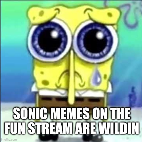 Sad Spongebob | SONIC MEMES ON THE FUN STREAM ARE WILDIN | image tagged in sad spongebob | made w/ Imgflip meme maker