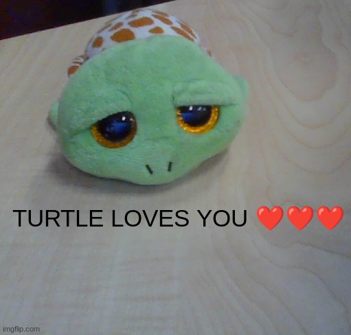 His name is Ben! Ben loves youuuuuu <3 | TURTLE LOVES YOU ❤️❤️❤️ | made w/ Imgflip meme maker