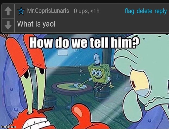 How do we tell him | image tagged in how do we tell him | made w/ Imgflip meme maker