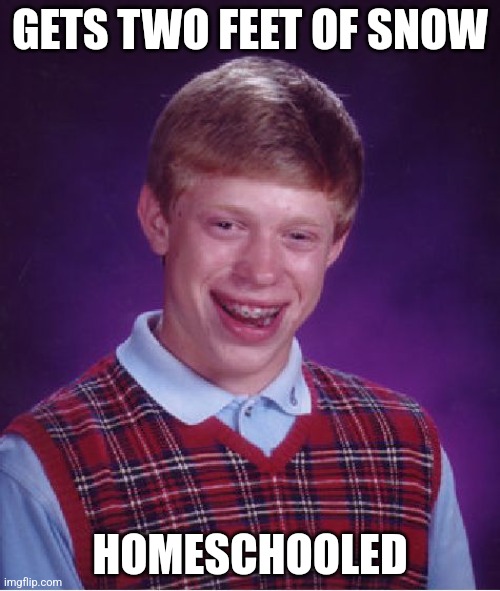 S'no Day | GETS TWO FEET OF SNOW; HOMESCHOOLED | image tagged in memes,bad luck brian | made w/ Imgflip meme maker