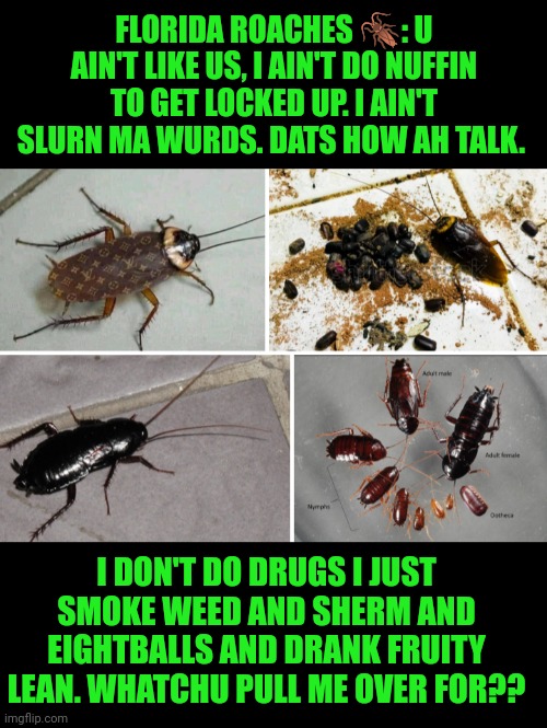 Funny | FLORIDA ROACHES 🪳: U AIN'T LIKE US, I AIN'T DO NUFFIN TO GET LOCKED UP. I AIN'T SLURN MA WURDS. DATS HOW AH TALK. I DON'T DO DRUGS I JUST SMOKE WEED AND SHERM AND EIGHTBALLS AND DRANK FRUITY LEAN. WHATCHU PULL ME OVER FOR?? | image tagged in funny,florida,cockroaches,drugs,hip hop,smoke weed everyday | made w/ Imgflip meme maker