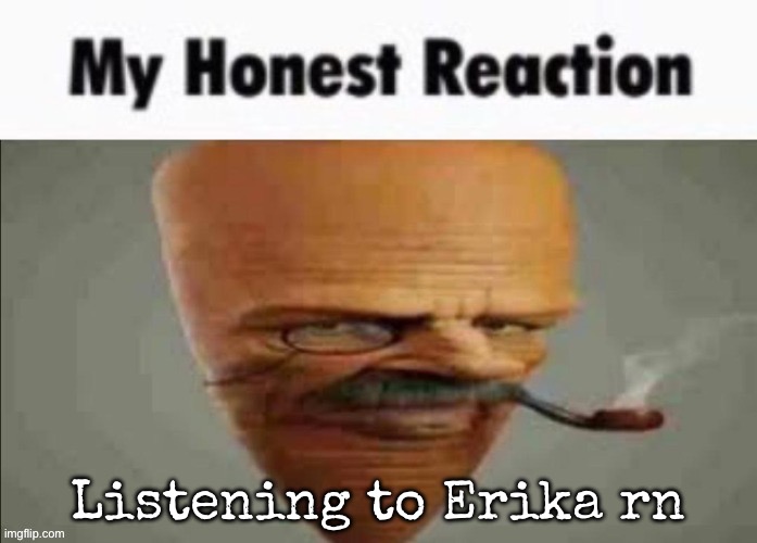 My honest reaction | Listening to Erika rn | image tagged in my honest reaction,msmg | made w/ Imgflip meme maker