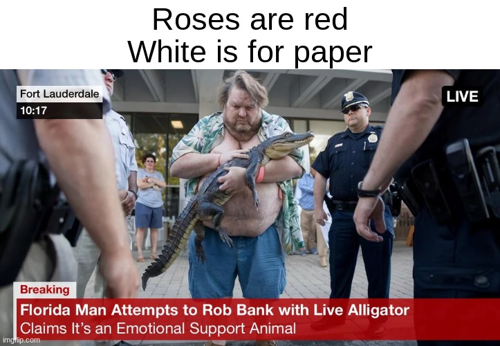 florida man | Roses are red
White is for paper | image tagged in florida man,robbery,bank robber,headlines | made w/ Imgflip meme maker