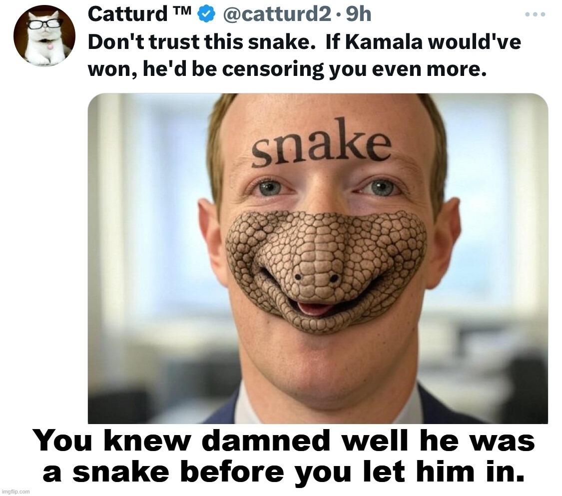 You knew damned well he was a snake before you let him in. | image tagged in mark zuckerberg,think mark think,the vicious snake,the snake lyric,reptilians,schlange | made w/ Imgflip meme maker