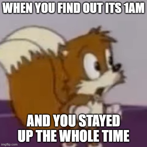 shocked tails | WHEN YOU FIND OUT ITS 1AM; AND YOU STAYED UP THE WHOLE TIME | image tagged in shocked tails | made w/ Imgflip meme maker