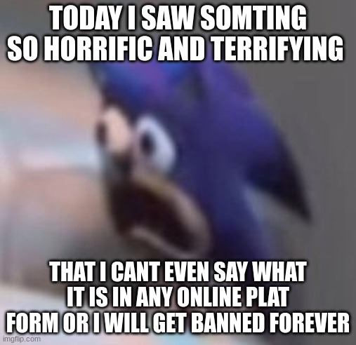 don't ask what it was | TODAY I SAW SOMTING SO HORRIFIC AND TERRIFYING; THAT I CANT EVEN SAY WHAT IT IS IN ANY ONLINE PLAT FORM OR I WILL GET BANNED FOREVER | image tagged in traumatised sonic | made w/ Imgflip meme maker