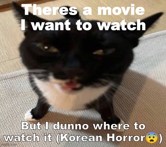 Cat of anger | Theres a movie I want to watch; But I dunno where to watch it (Korean Horror😨) | image tagged in cat of anger | made w/ Imgflip meme maker