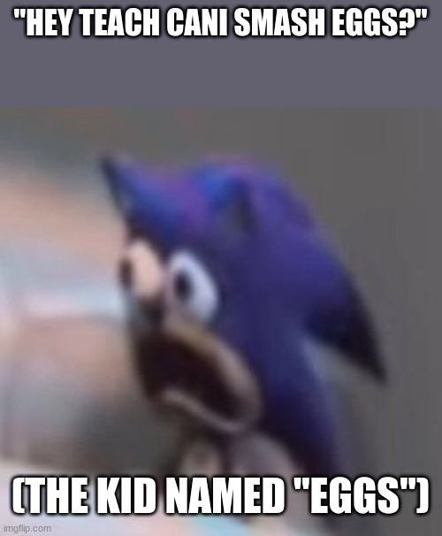 egg | "HEY TEACH CANI SMASH EGGS?"; (THE KID NAMED "EGGS") | image tagged in traumatised sonic | made w/ Imgflip meme maker