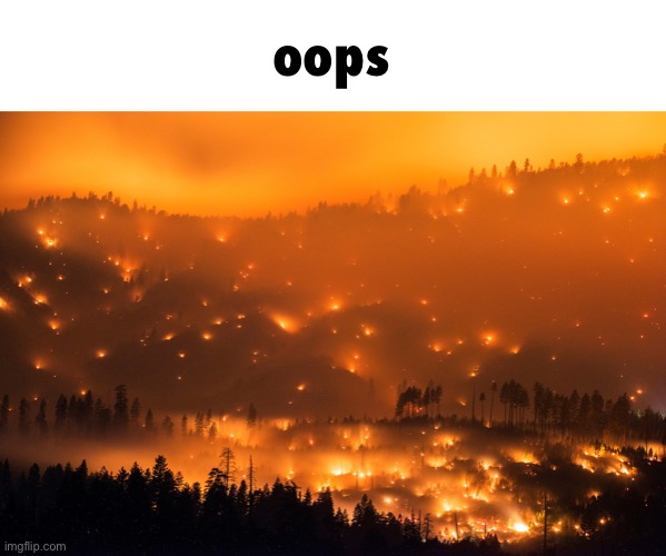 Wild Fire | oops | image tagged in wild fire | made w/ Imgflip meme maker