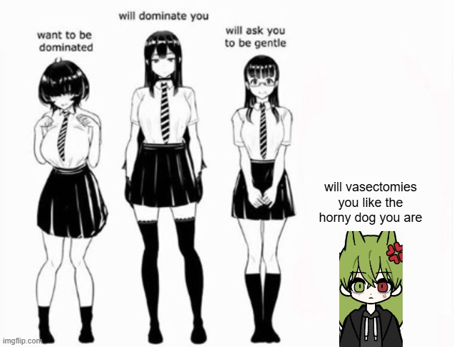 he's a minor, and a very vengeful one at that | will vasectomies you like the horny dog you are | image tagged in domination stats | made w/ Imgflip meme maker