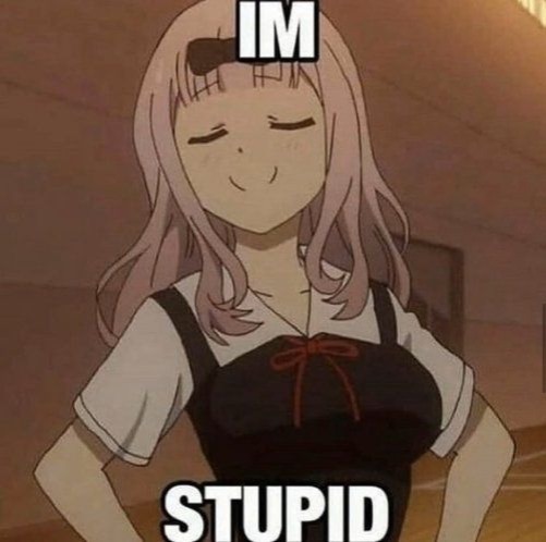 I'm stupid | image tagged in i'm stupid | made w/ Imgflip meme maker