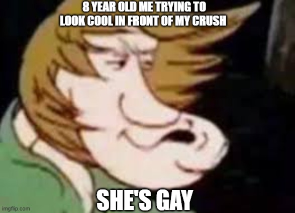 o no | 8 YEAR OLD ME TRYING TO LOOK COOL IN FRONT OF MY CRUSH; SHE'S GAY | image tagged in shaggy,funny face | made w/ Imgflip meme maker