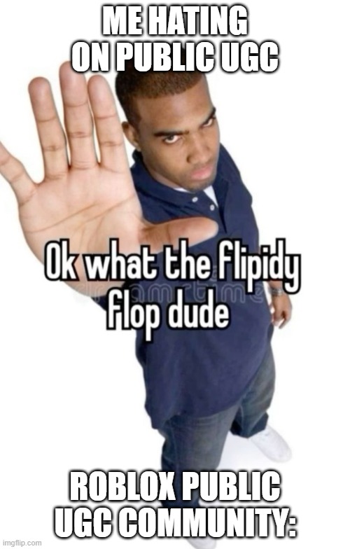 Bro stop | ME HATING ON PUBLIC UGC; ROBLOX PUBLIC UGC COMMUNITY: | image tagged in ok what the flipity flop dude | made w/ Imgflip meme maker