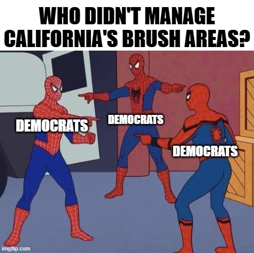 CA Fires | WHO DIDN'T MANAGE CALIFORNIA'S BRUSH AREAS? DEMOCRATS; DEMOCRATS; DEMOCRATS | image tagged in 3 spiderman pointing | made w/ Imgflip meme maker