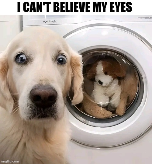 I Can't Believe My Eyes | I CAN'T BELIEVE MY EYES | image tagged in chris joines | made w/ Imgflip meme maker