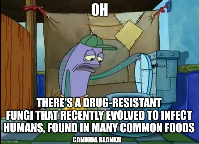 Candida Blankii is an infectious yeast pathogen similar to Candida Auris | OH; THERE'S A DRUG-RESISTANT FUNGI THAT RECENTLY EVOLVED TO INFECT HUMANS, FOUND IN MANY COMMON FOODS; CANDIDA BLANKII | image tagged in oh thats a toilet spongebob fish | made w/ Imgflip meme maker