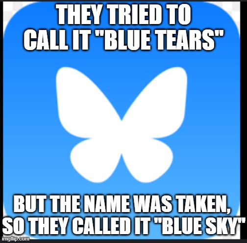 Bluesky | THEY TRIED TO CALL IT "BLUE TEARS" BUT THE NAME WAS TAKEN, 
SO THEY CALLED IT "BLUE SKY" | image tagged in bluesky | made w/ Imgflip meme maker