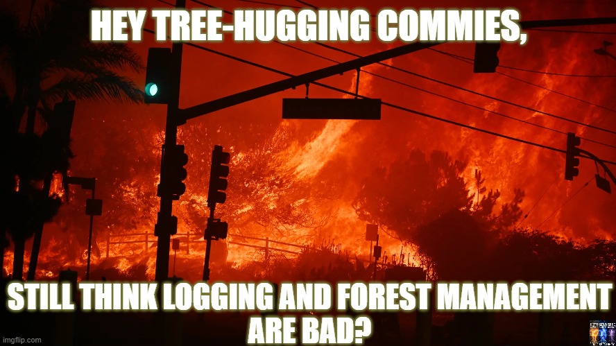 burn | HEY TREE-HUGGING COMMIES, STILL THINK LOGGING AND FOREST MANAGEMENT
ARE BAD? | image tagged in fire,wildfires,climate change,climate | made w/ Imgflip meme maker