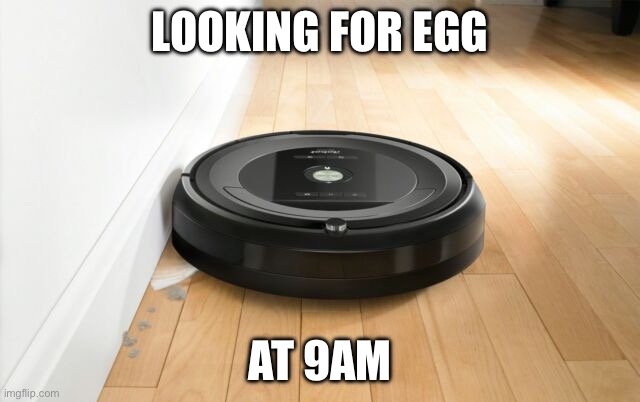 roomba | LOOKING FOR EGG AT 9AM | image tagged in roomba | made w/ Imgflip meme maker