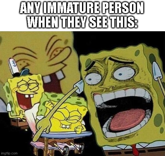 Spongebob laughing Hysterically | ANY IMMATURE PERSON WHEN THEY SEE THIS: | image tagged in spongebob laughing hysterically | made w/ Imgflip meme maker