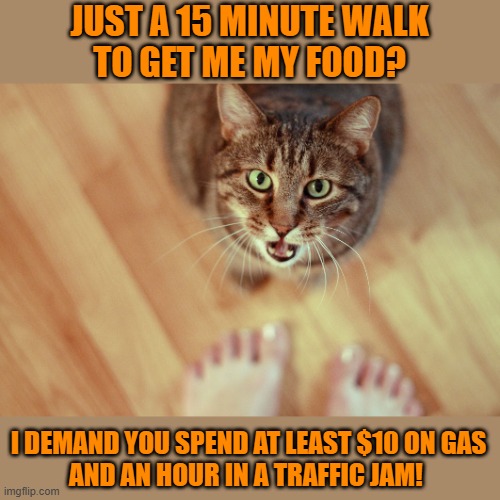 This #lolcat wonders why hoo-mens want to waste time and money | JUST A 15 MINUTE WALK
TO GET ME MY FOOD? I DEMAND YOU SPEND AT LEAST $10 ON GAS
AND AN HOUR IN A TRAFFIC JAM! | image tagged in tri state,15 minute city,lolcat,shell,big oil | made w/ Imgflip meme maker