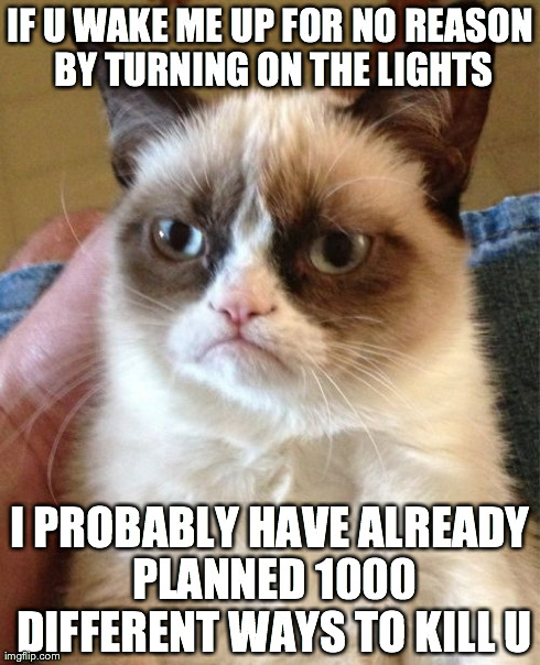 Grumpy Cat Meme | IF U WAKE ME UP FOR NO REASON BY TURNING ON THE LIGHTS I PROBABLY HAVE ALREADY PLANNED 1000 DIFFERENT WAYS TO KILL U | image tagged in memes,grumpy cat | made w/ Imgflip meme maker