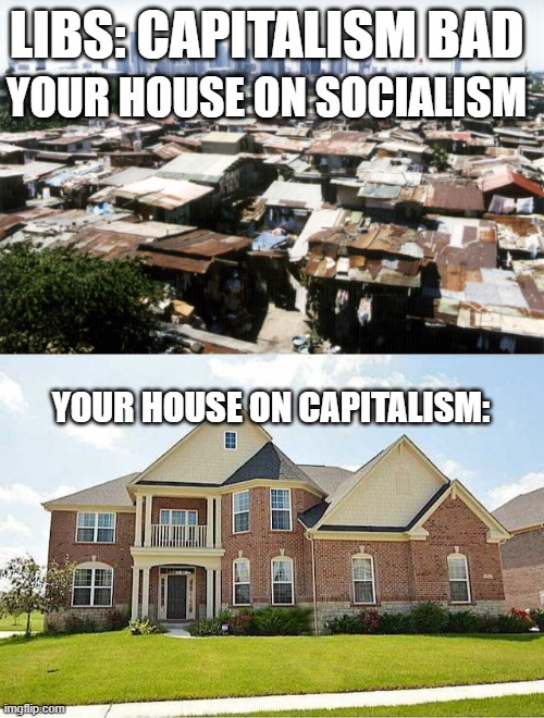 LIBS: CAPITALISM BAD; YOUR HOUSE ON SOCIALISM; YOUR HOUSE ON CAPITALISM: | image tagged in detroit slums | made w/ Imgflip meme maker