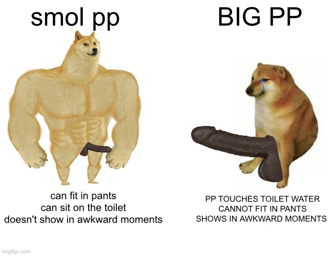 smol pp Vs BIG PP | smol pp; BIG PP; can fit in pants 
can sit on the toilet 
doesn't show in awkward moments; PP TOUCHES TOILET WATER
CANNOT FIT IN PANTS
SHOWS IN AWKWARD MOMENTS | image tagged in memes,buff doge vs cheems,funny,small penis,penis jokes | made w/ Imgflip meme maker