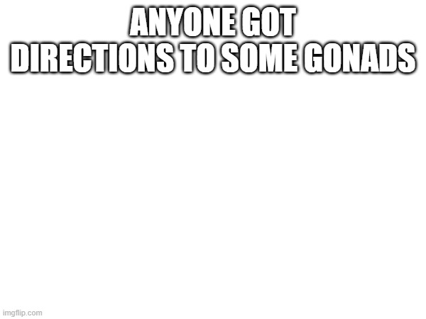 ANYONE GOT DIRECTIONS TO SOME GONADS | made w/ Imgflip meme maker